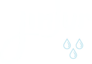 Jinjur Shop